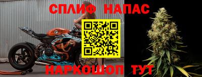 шишки Партизанск