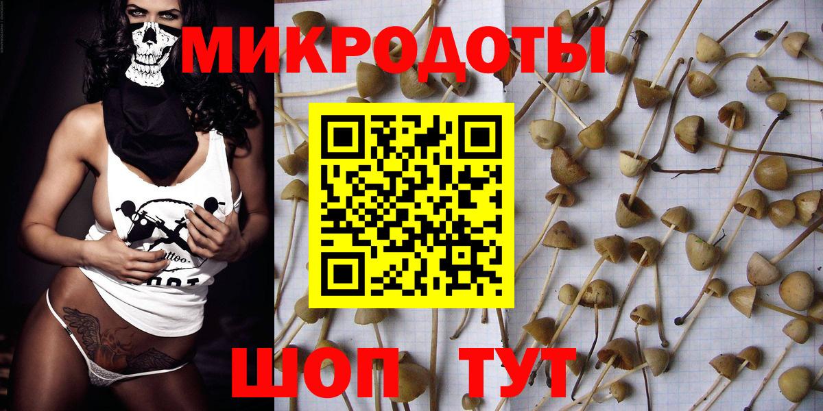 Галлюциногенные грибы прущие грибы  Вход с VPN  сколько стоит  Печора 