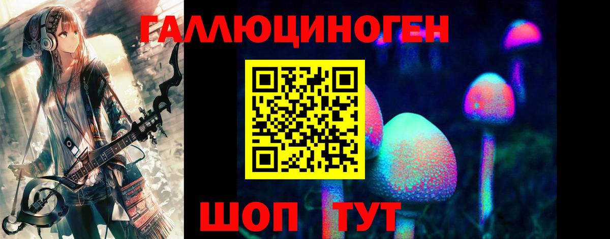 Галлюциногенные грибы Psilocybine cubensis Печора